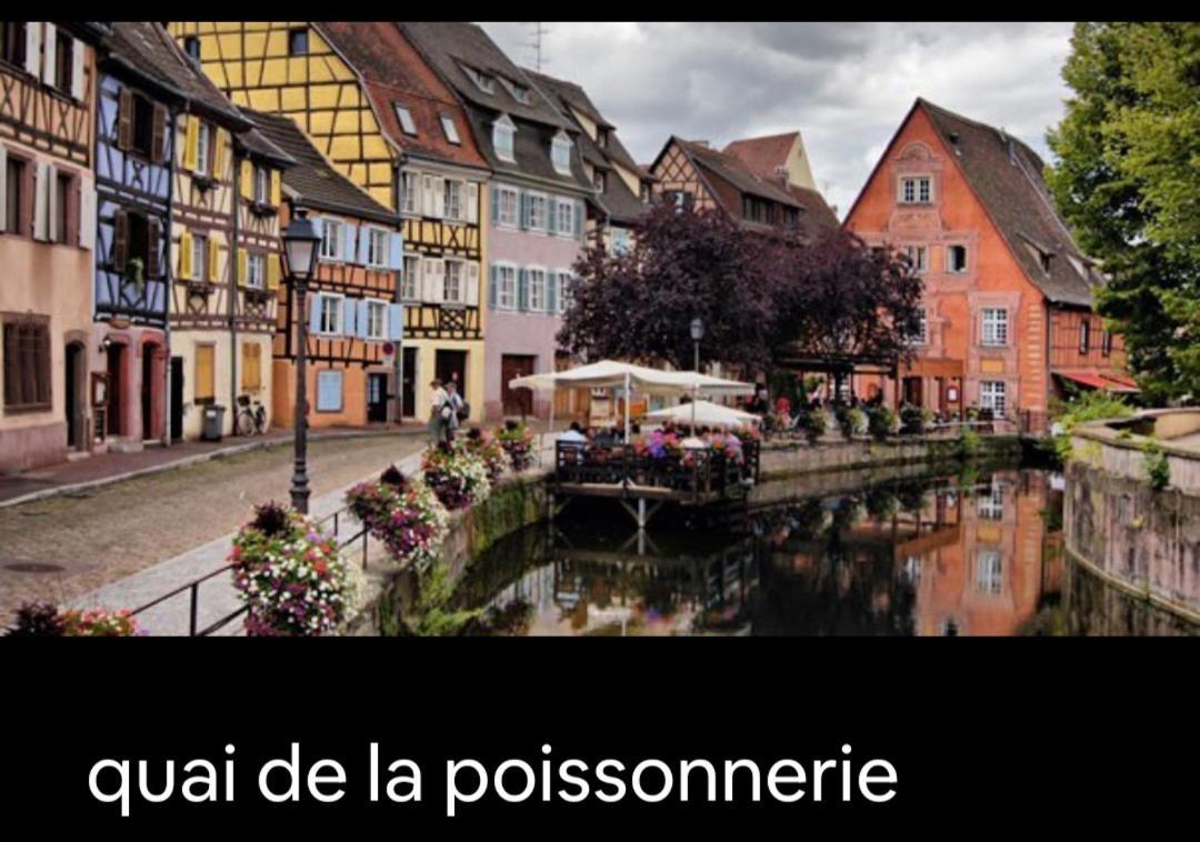 Centre De Zum Harzala Appartement Colmar